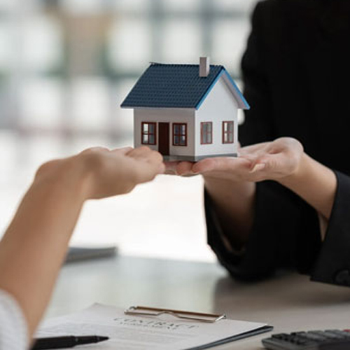 Property Consultation